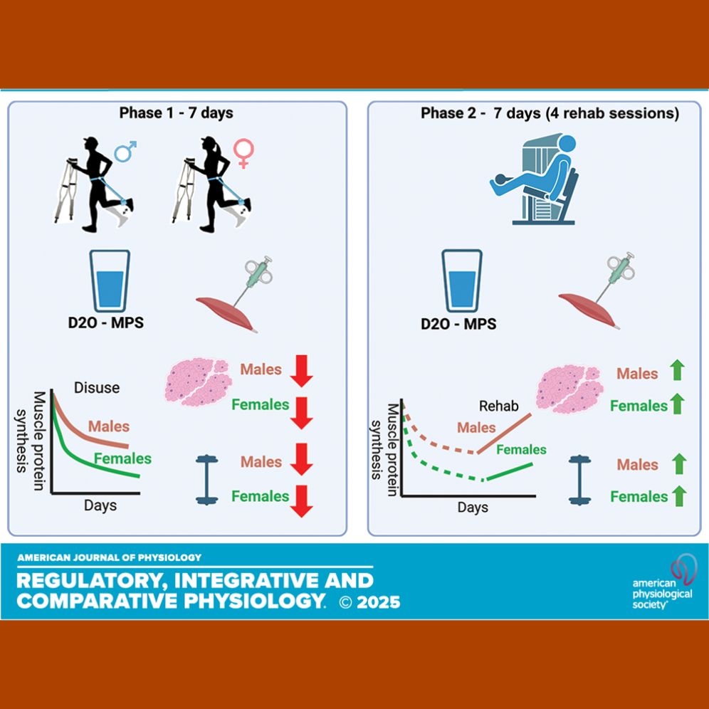 Visual overview of paper